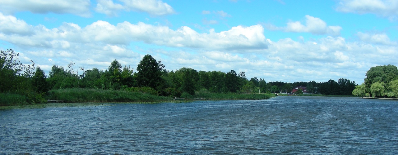 Division of Hydrobiology