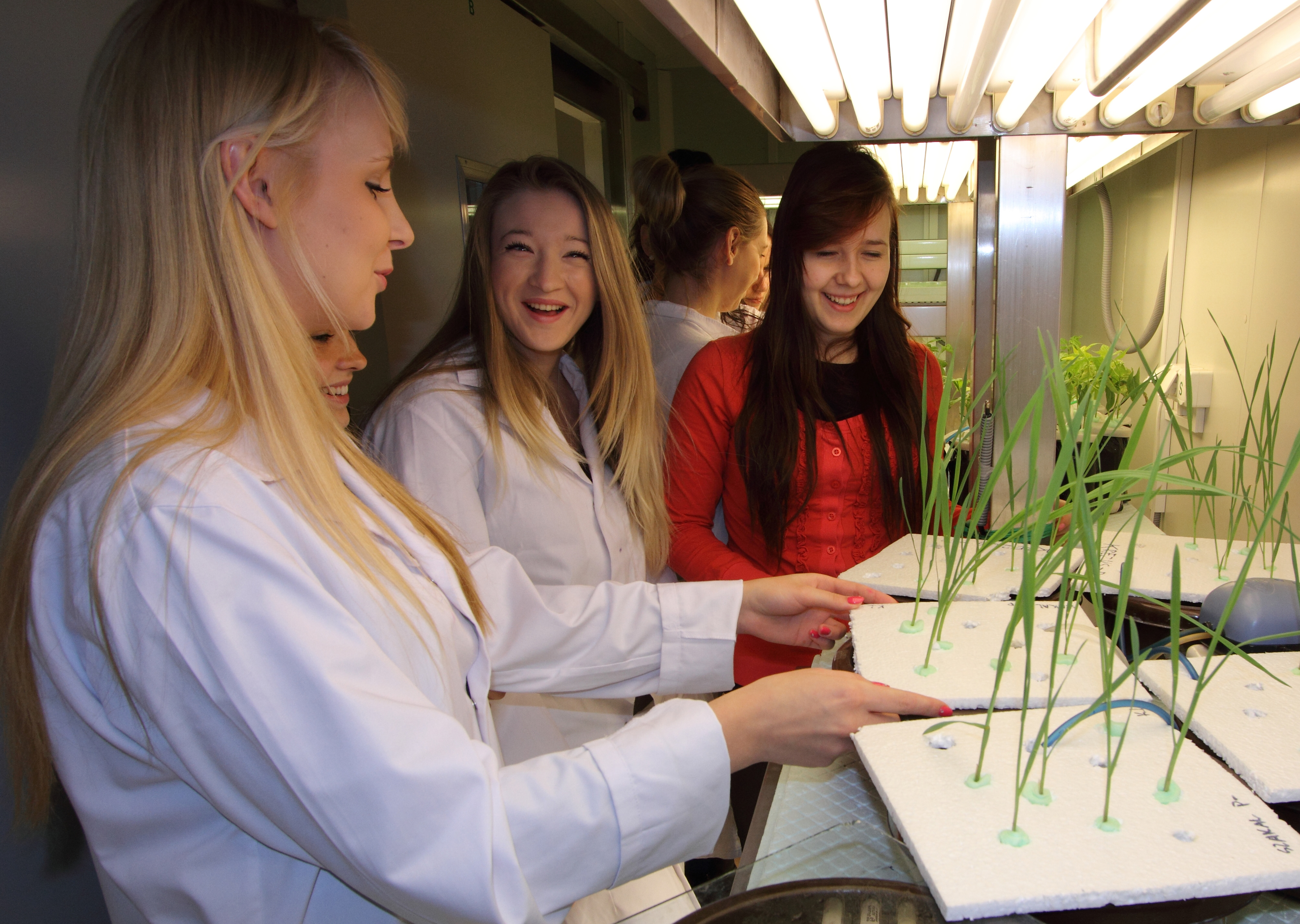 Laboratory of Experimental Plant Biology
