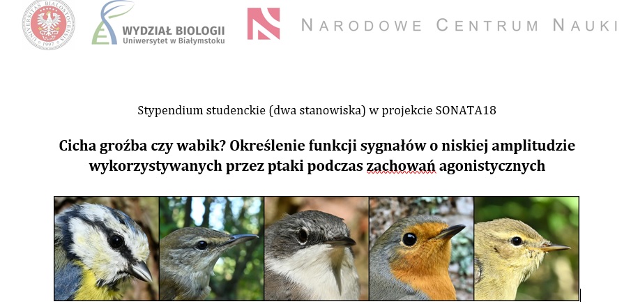 stypendium_studenckie.jpg