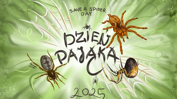 Dzień Pająka 2025