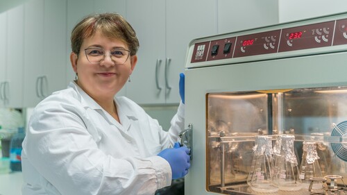 Odkrycie badaczki z Wydziału Biologii i pierwsza międzynarodowa umowa licencyjna Uniwersytetu w Białymstoku dzięki współpracy z Uniwersytetem w Hasselt