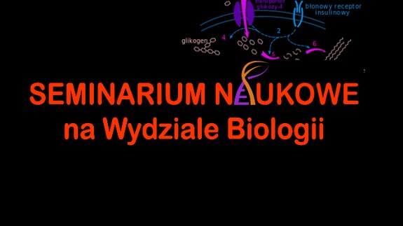 Seminarium naukowe mgr. Adama Olichwiera - 19 maja 2021 r.