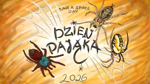 Międzynarodowy Dnia Pająka - Save a Spider Day