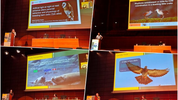 prezentacje innych uczestnik&oacute;w konferencji