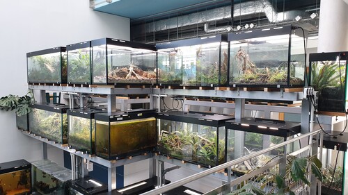 KONKURS WAKACYJNY NA LOGOTYP EGZOTARIUM