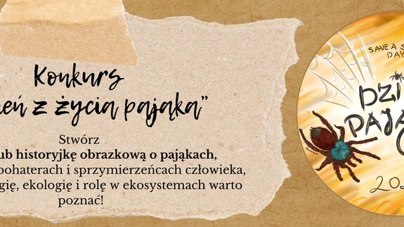 Ogólnopolski konkurs plastyczny "Dzień z życia pająka"