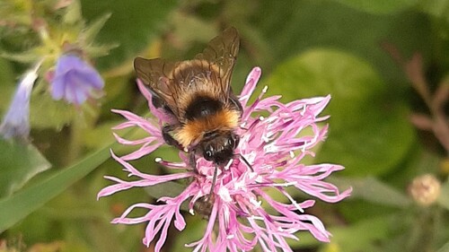 PIERWSZE MIEJSCE NA LIŚCIE RANKINGOWEJ "MŁODZIEŻOWE PODLASKIE LOKALNIE"