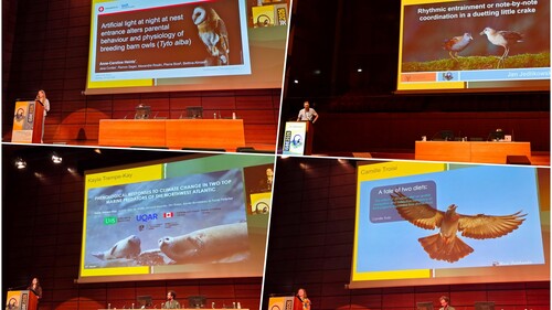 prezentacje innych uczestników konferencji