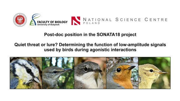 Post-doc position in the SONATA18 project