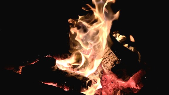 Fot. M. Bartoszewicz