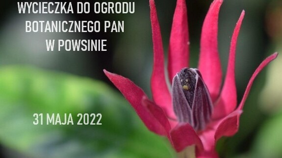 Wycieczka do Ogrodu Botanicznego Polskiej Akademii Nauk w Powsinie