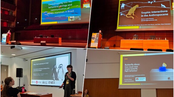 prezentacje innych uczestnik&oacute;w konferencji