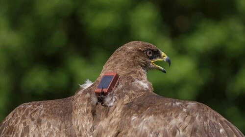 Seminarium 9 grudnia 2025