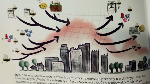 Bioróżnorodność Miasta Białegostoku