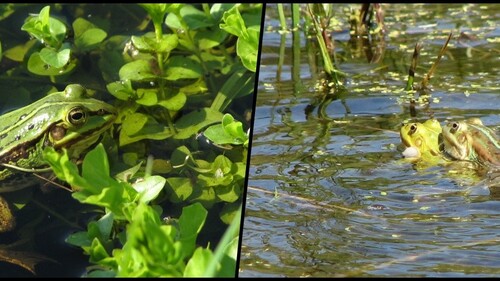 Stypendium studenckie w projekcie OPUS26 nr 2023/51/B/NZ8/00605