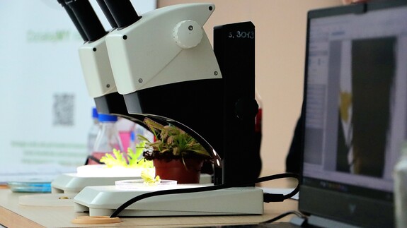 Fot. M. Bartoszewicz